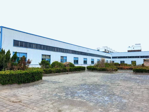 創新科技 美食動力