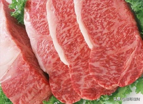 肉制品行業(yè)龍頭企業(yè)財報分析與投資價值評估